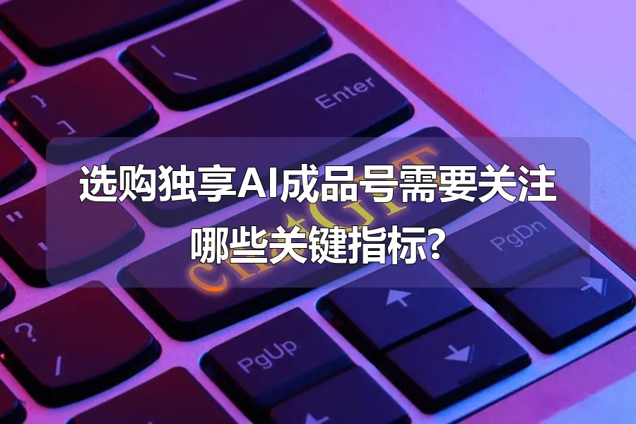选购独享AI成品号需要关注哪些关键指标?
